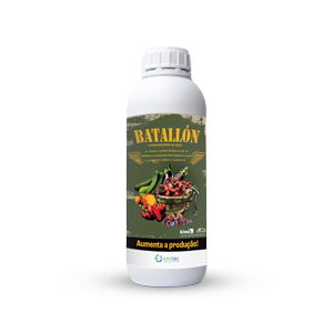 Produto_1