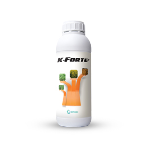 Produto_2