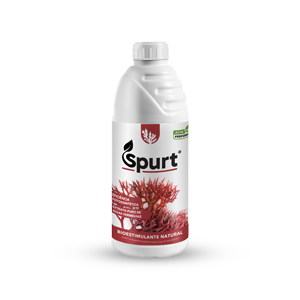 Produto_3